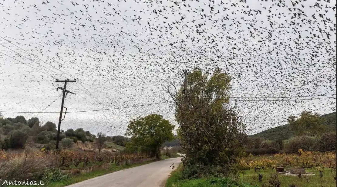 εικόνες αποκάλυψης, χωριό, Εύβοια