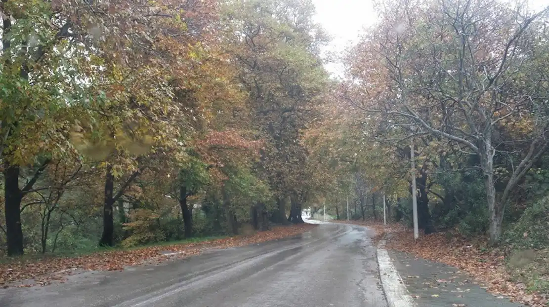 Η Στενή βρίσκεται στην επαρχιακή οδό Αρτάκης - Κύμης σε απόσταση 32 χιλιομέτρων από τη Χαλκίδα.