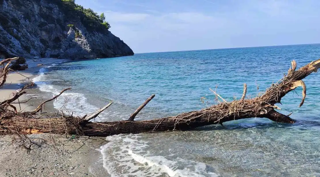 Βόρεια Εύβοια: Δείτε τι έβγαλε η θάλασσα στην στεριά