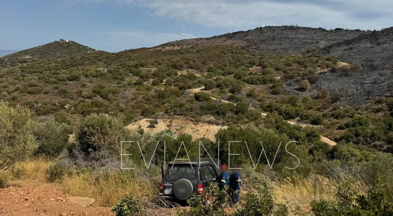 Κριεζά, θόρυβο