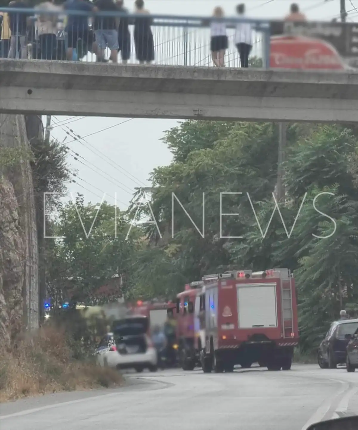 τρομακτικό τροχαίο ατύχημα, 2 νέους, τραγικό θάνατο, Εύβοια