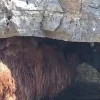 ευβοια