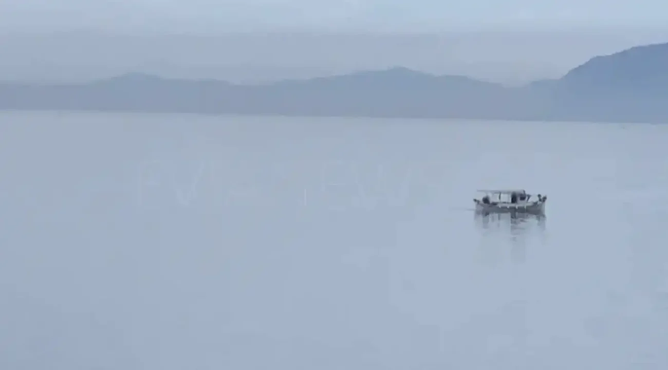 Που έχει μωβ μέδουσες στην Εύβοια; [Χάρτης] 