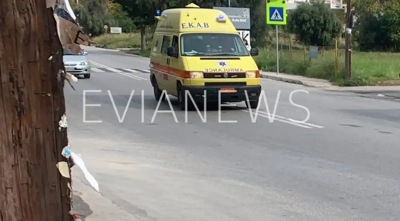 Το περιστατικό εκτυλίχθηκε το πρωί της Τετάρτης στη γνωστή παραλία Μέσα Παναγίτσα του Δήμου Χαλκιδέων