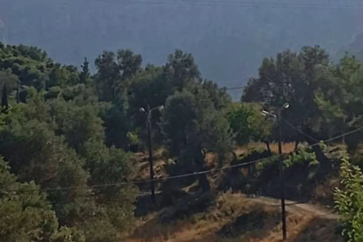Αγωνία και λύτρωση στην Εύβοια: Πώς σώθηκε το ζευγάρι που χάθηκε στα μονοπάτια της Δίρφυος