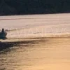 Εύβοια νέα και ειδήσεις