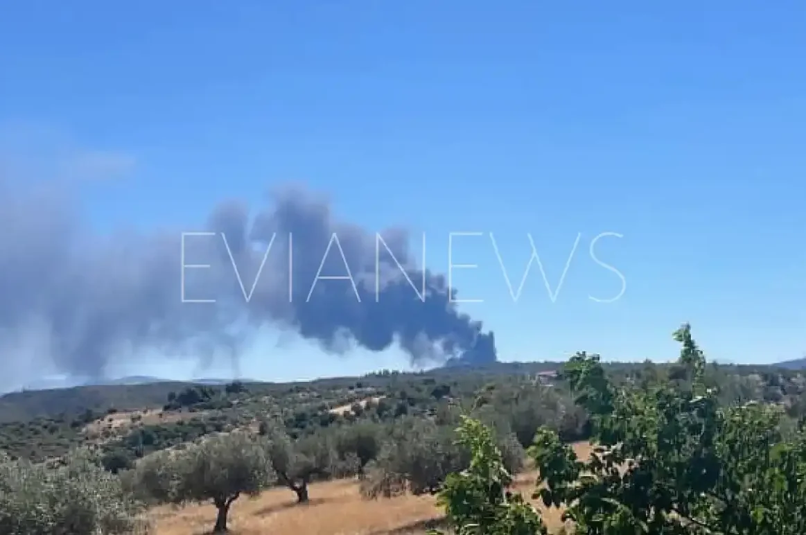 Εύβοια φωτιά τώρα