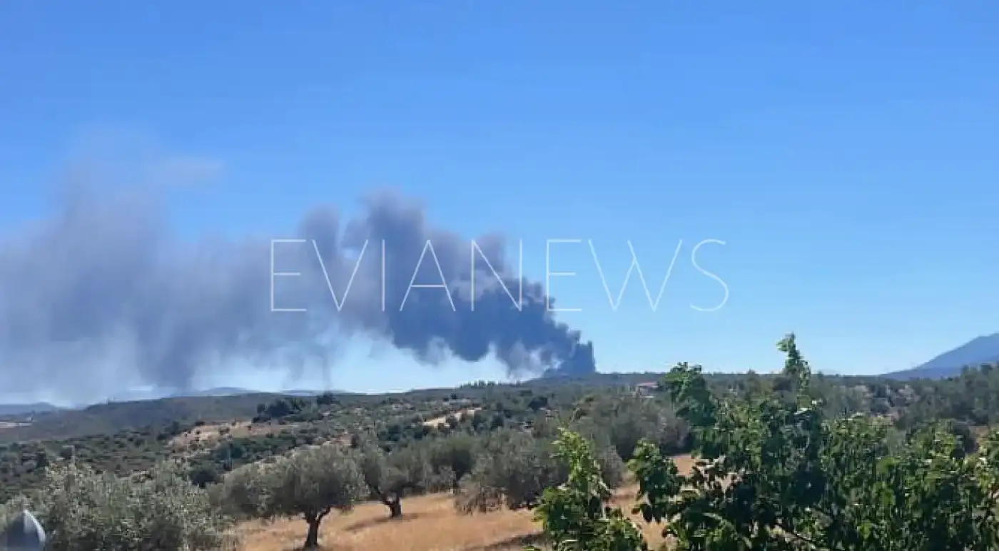 Εύβοια φωτιά τώρα