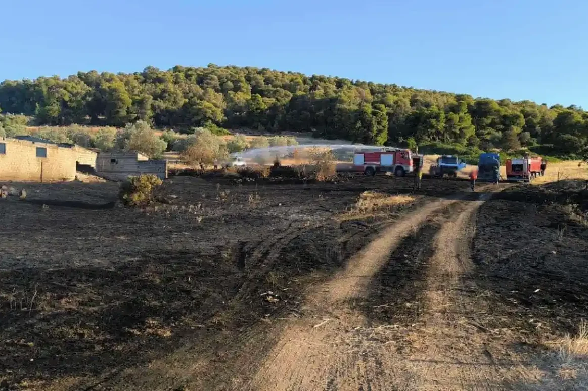 Όλα έγιναν ύστερα από φωτιά στην Εύβοια