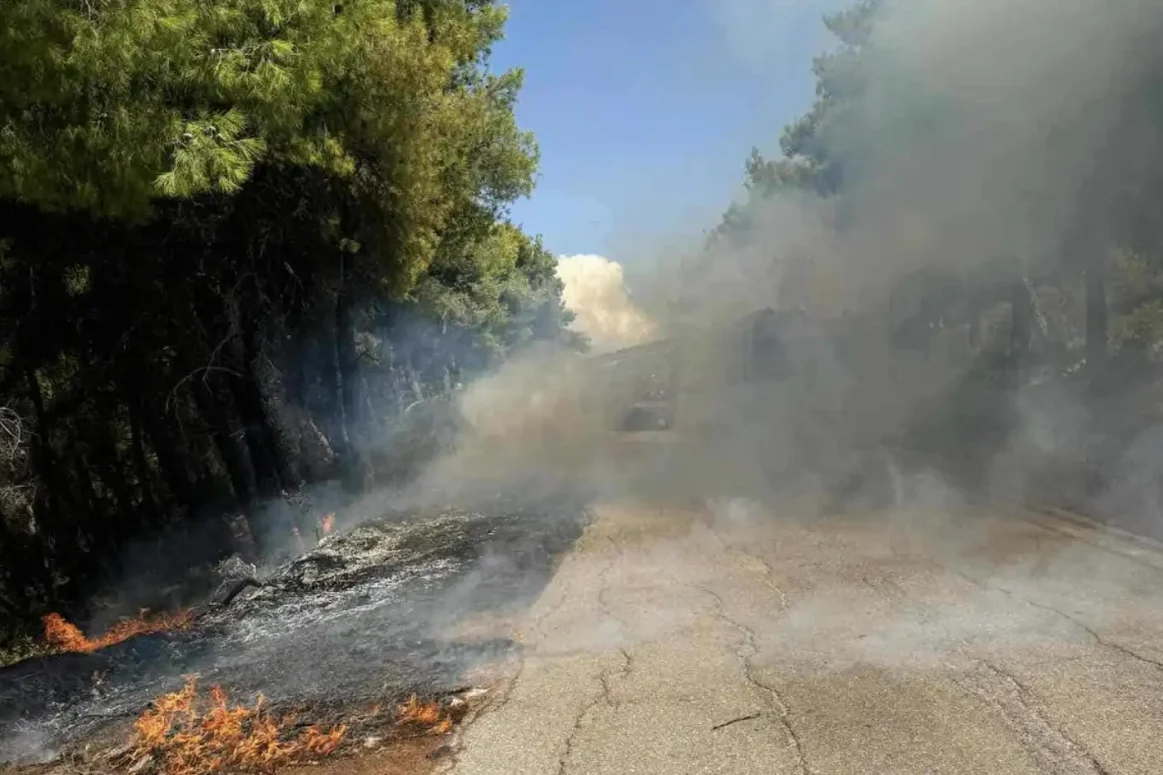 Φωτιά στο χωριό Σταυρός της Εύβοιας