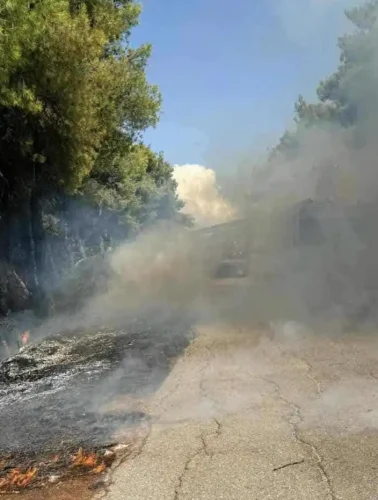 Φωτιά στο χωριό Σταυρός της Εύβοιας