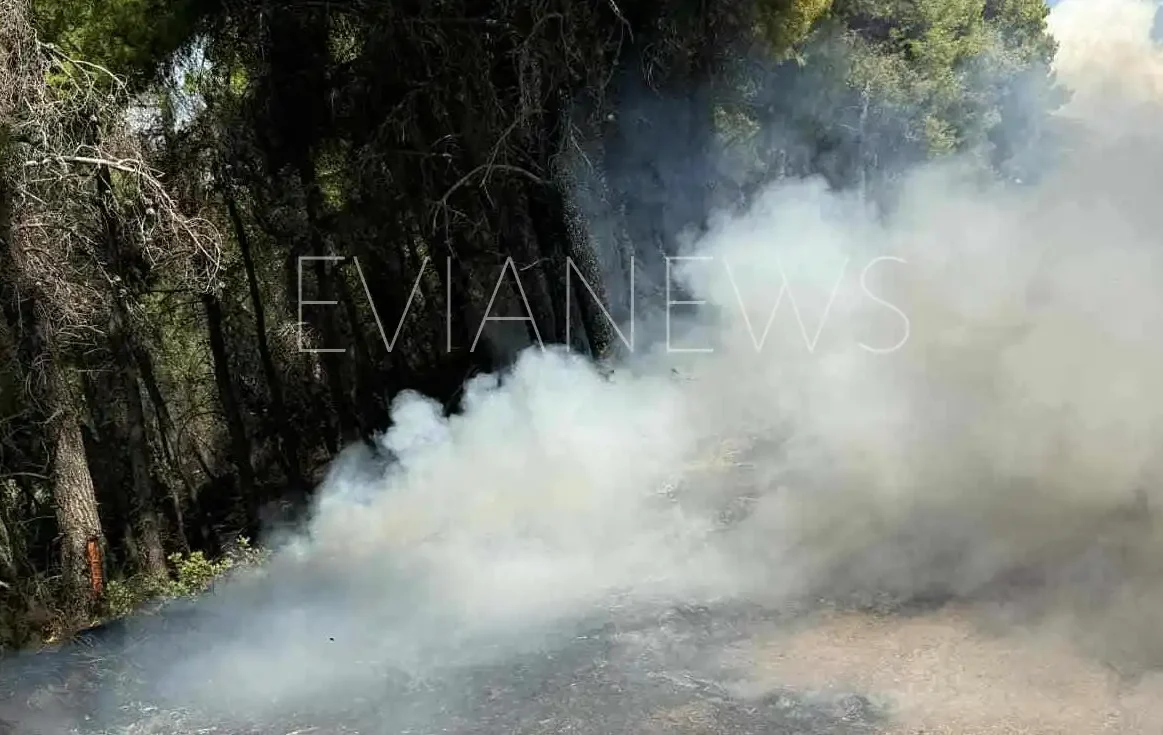 Φωτιά στα Βρυσάκια
