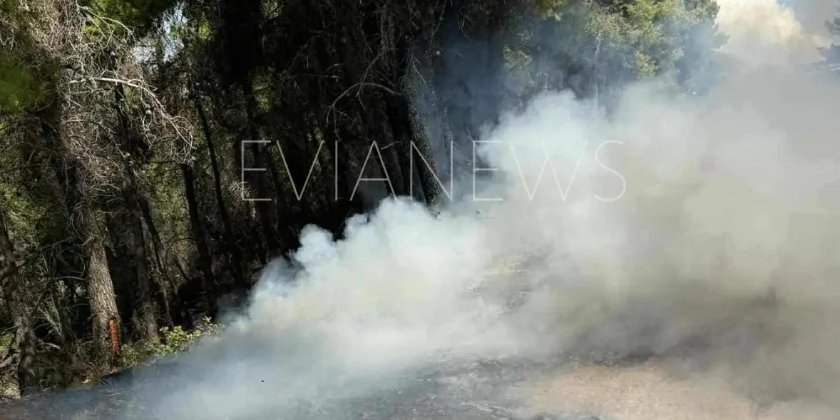 Φωτιά στα Βρυσάκια