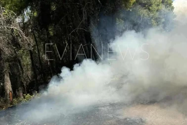 Φωτιά στα Βρυσάκια