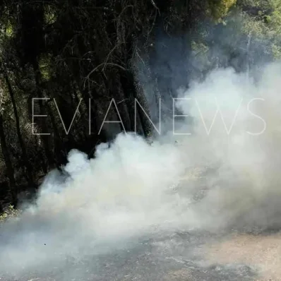 Φωτιά στα Βρυσάκια