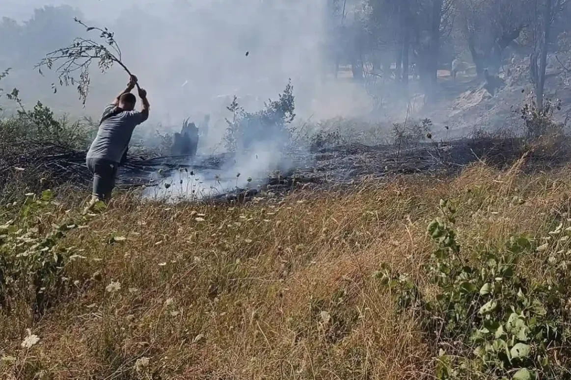 ΣΟΚ στην Εύβοια! Γυναίκα κατηγορείται για ΔΙΠΛΟ εμπρησμό – Δείτε πού έβαλε φωτιά!