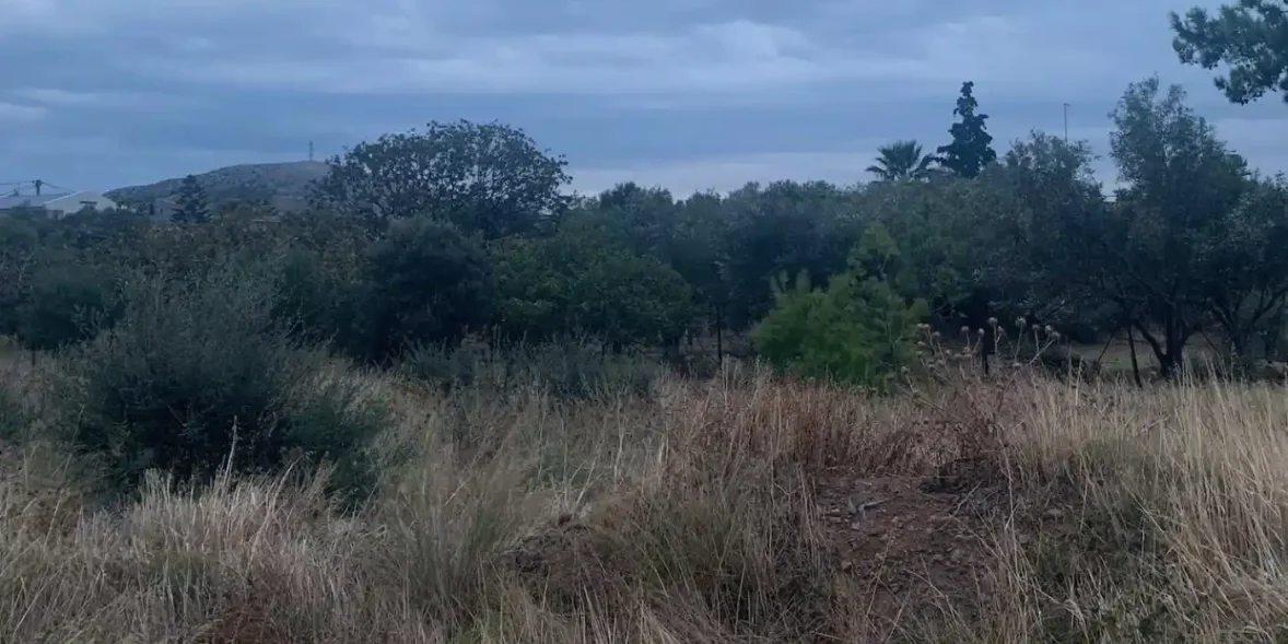 κήπος στην Εύβοια