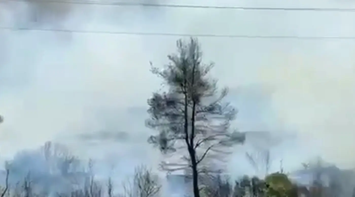 Εύβοια φωτιά τώρα σε Πισσώνα και Τριάδα