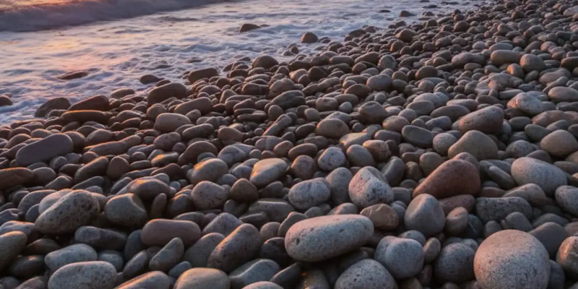 Μια παραλία στην Εύβοια όπου εμφανίστηκε μια φώκια