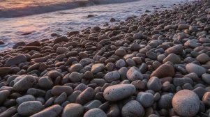 Μια παραλία στην Εύβοια όπου εμφανίστηκε μια φώκια