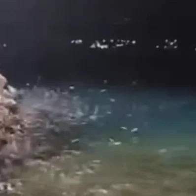 ψάρια στη θάλασσα