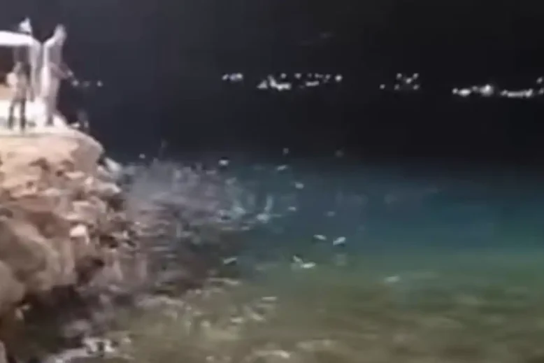 ψάρια στη θάλασσα