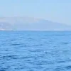 Σε αυτή την θάλασσα εμφανίστηκε κοπάδι από μεγάλα ψάρια.