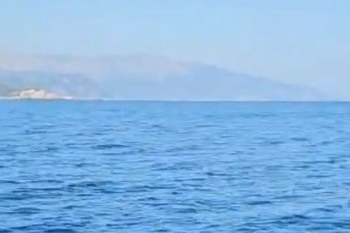 Σε αυτή την θάλασσα εμφανίστηκε κοπάδι από μεγάλα ψάρια.