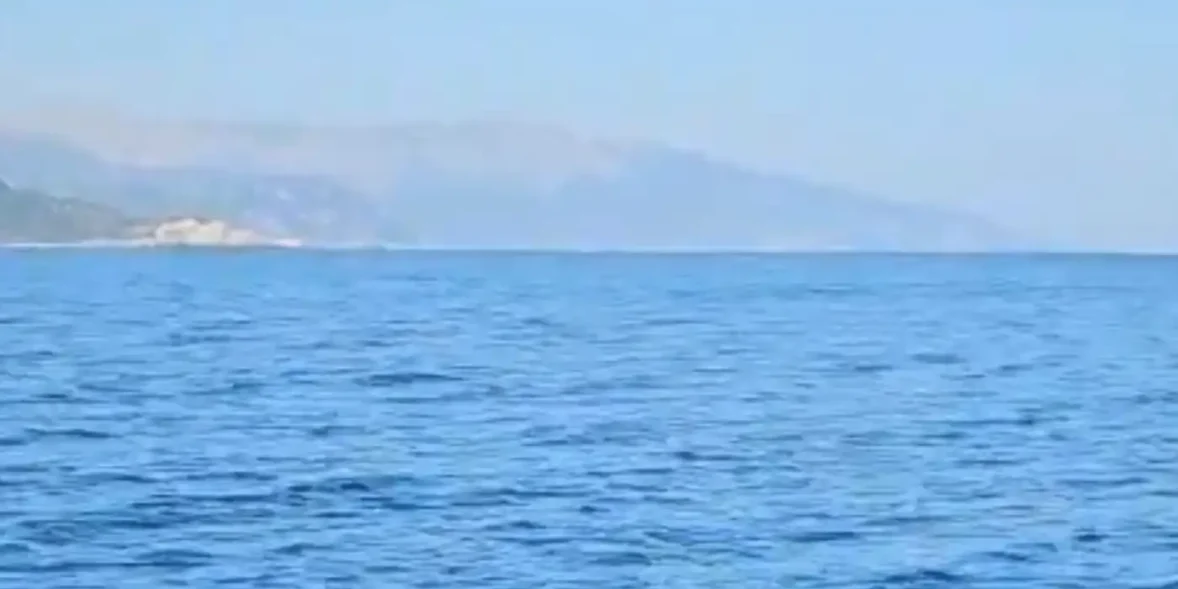 Σε αυτή την θάλασσα εμφανίστηκε κοπάδι από μεγάλα ψάρια.