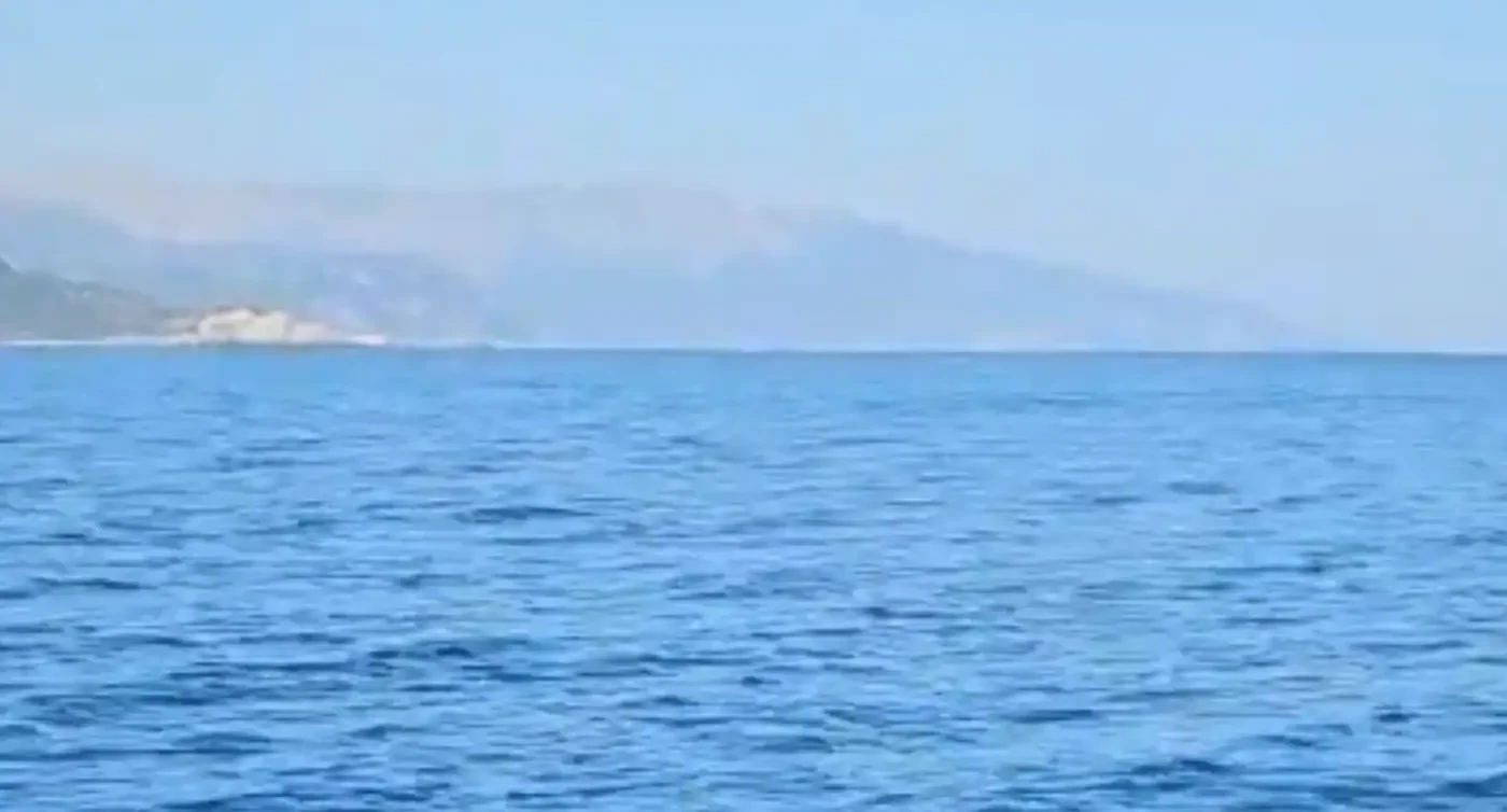 Σε αυτή την θάλασσα εμφανίστηκε κοπάδι από μεγάλα ψάρια.