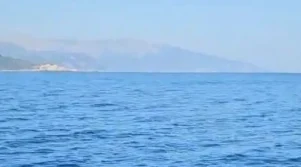 Σε αυτή την θάλασσα εμφανίστηκε κοπάδι από μεγάλα ψάρια.