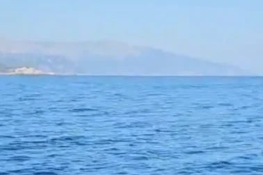 Σε αυτή την θάλασσα εμφανίστηκε κοπάδι από μεγάλα ψάρια.