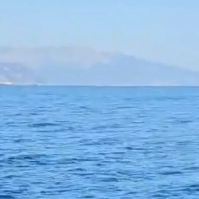 Σε αυτή την θάλασσα εμφανίστηκε κοπάδι από μεγάλα ψάρια.