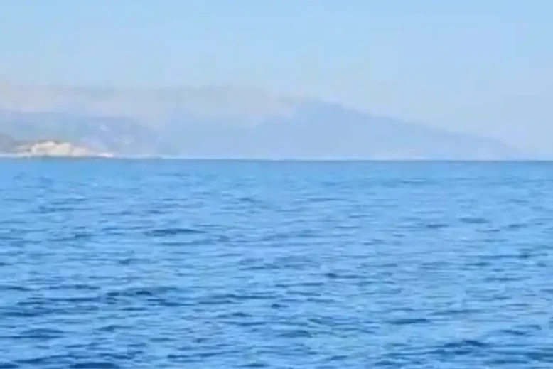 Σε αυτή την θάλασσα εμφανίστηκε κοπάδι από μεγάλα ψάρια.