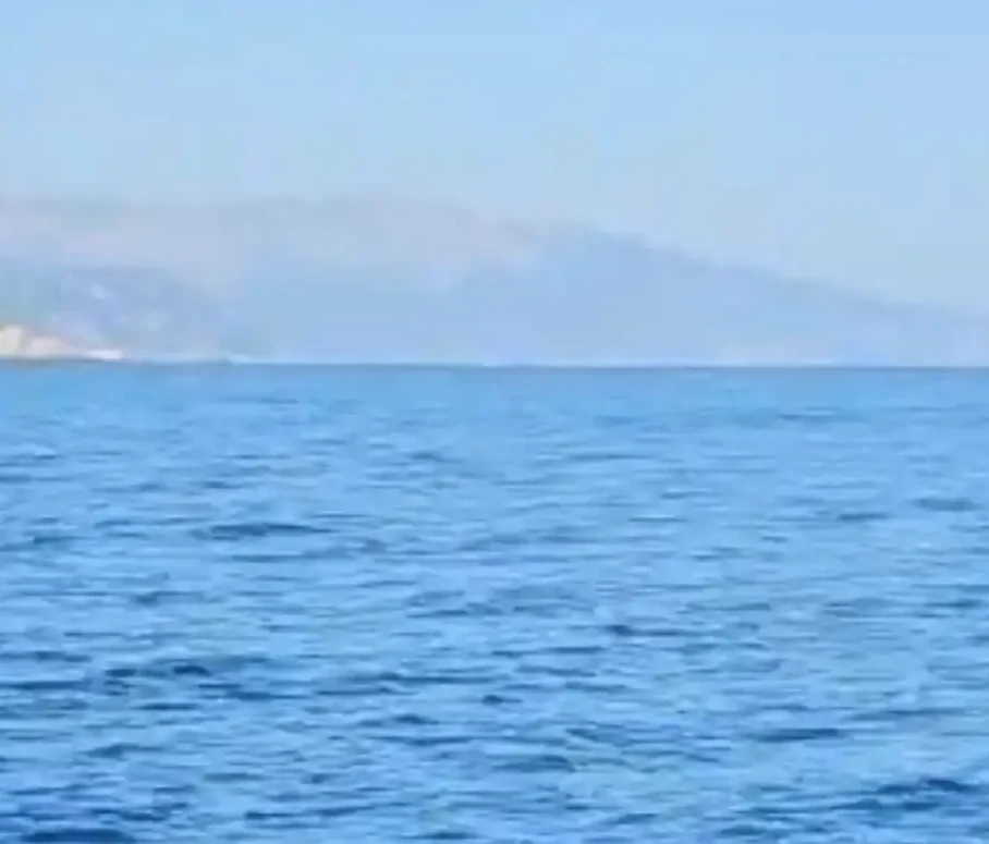 Σε αυτή την θάλασσα εμφανίστηκε κοπάδι από μεγάλα ψάρια.