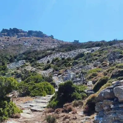 Κάρυστος: Συναγερμός για 54χρονο άντρα που χάθηκε