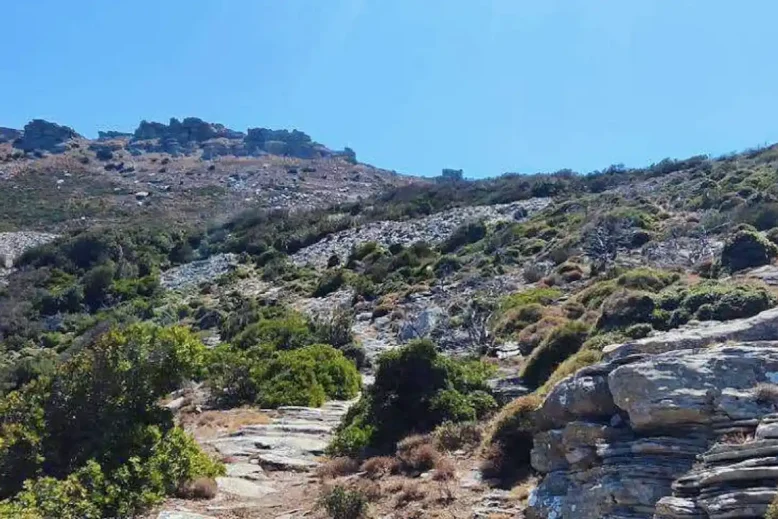Κάρυστος: Συναγερμός για 54χρονο άντρα που χάθηκε