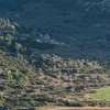 Εύβοια νέα και ειδήσεις