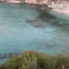 Εύβοια νέα και ειδήσεις