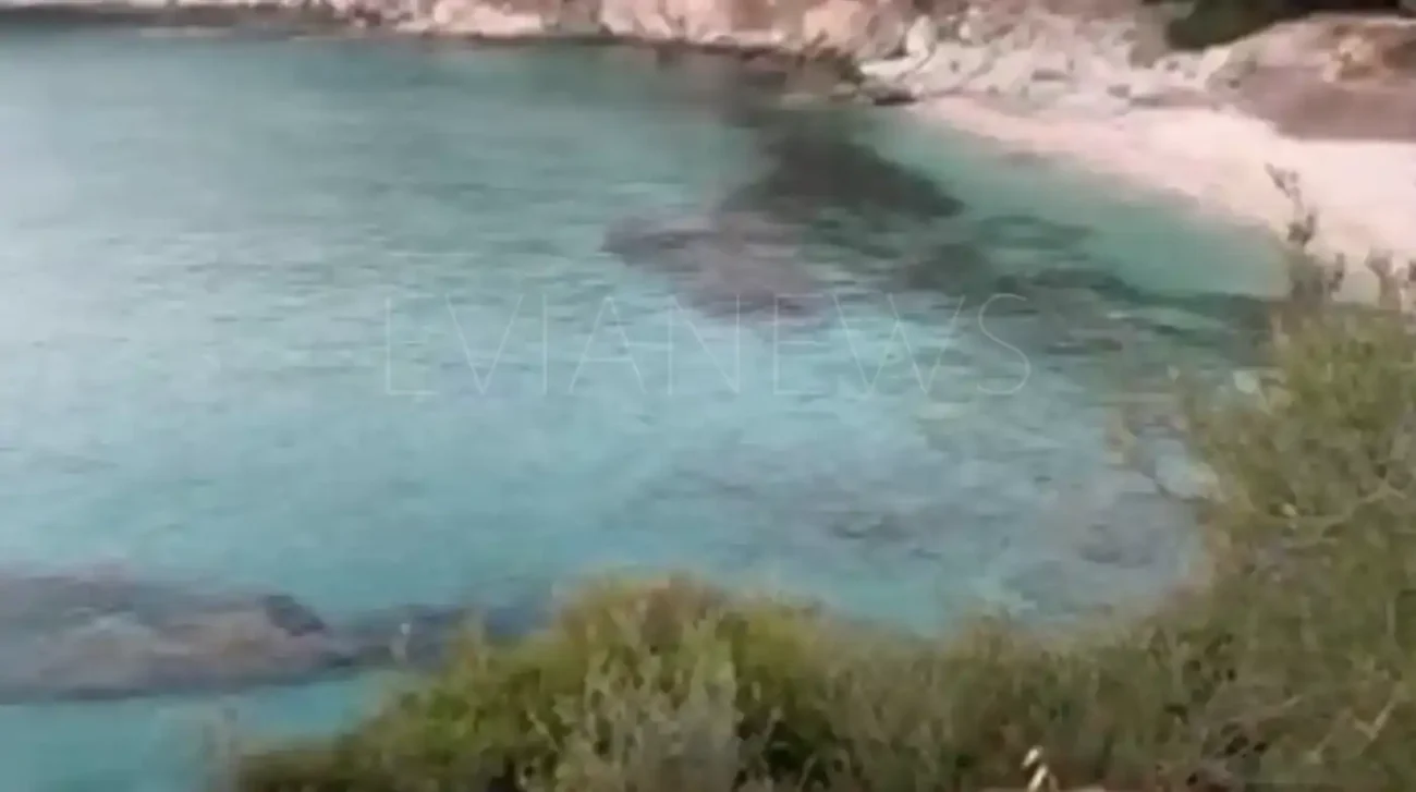 Εύβοια νέα και ειδήσεις