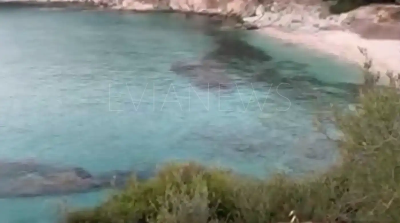 Εύβοια νέα και ειδήσεις