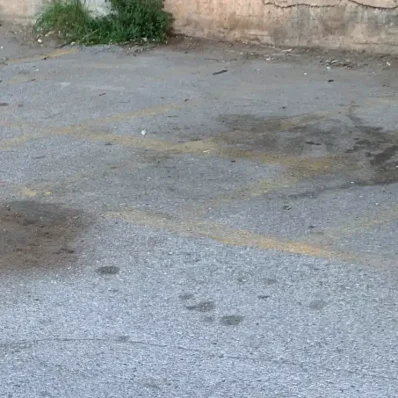 Δολοφονία 20χρονου στη Χαλκίδα – Συνελήφθησαν όλοι οι δράστες | Φωτογραφία από το σημείο