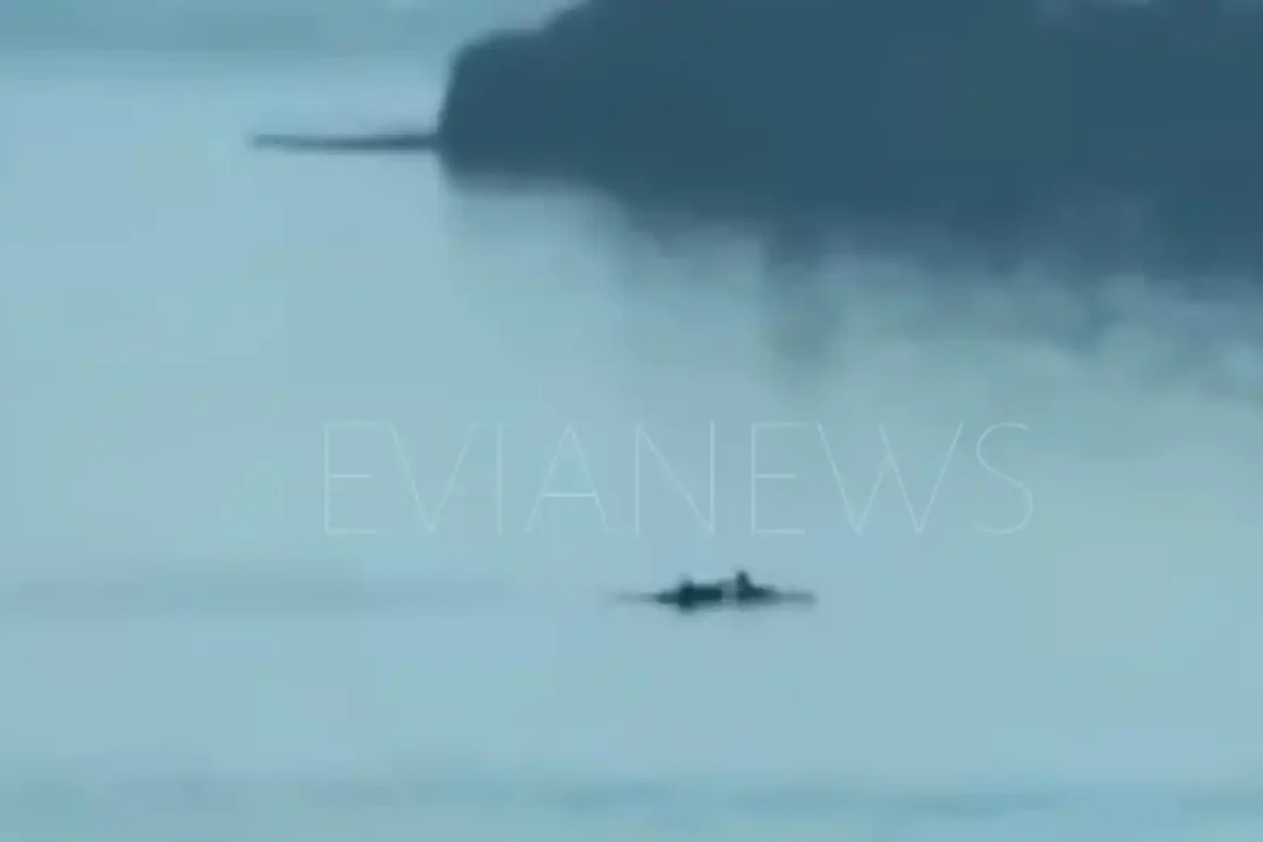 Ψάρια Χαλκίδα