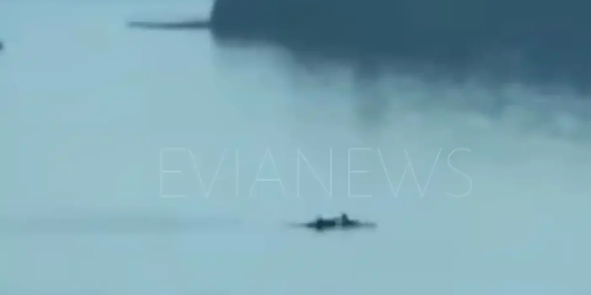 Ψάρια Χαλκίδα