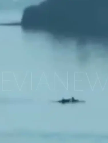 Ψάρια Χαλκίδα