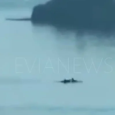 Ψάρια Χαλκίδα