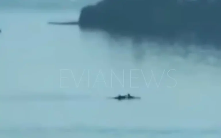 Ψάρια Χαλκίδα
