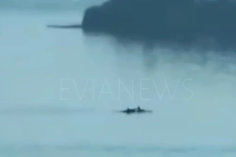 Ψάρια Χαλκίδα
