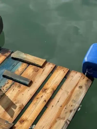 Σπιτάκι για πάπιες στην Νέα Αρτάκη