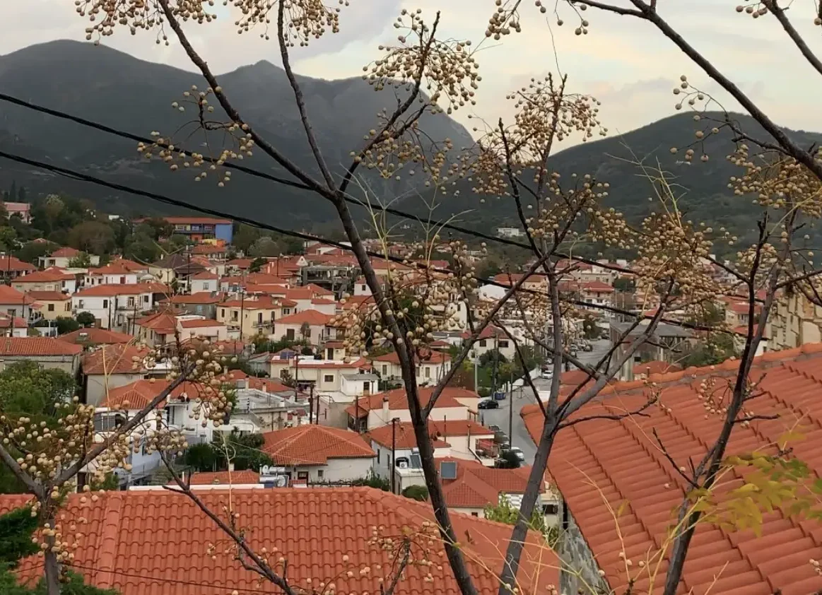 Όλα τα νέα από την Κύμη